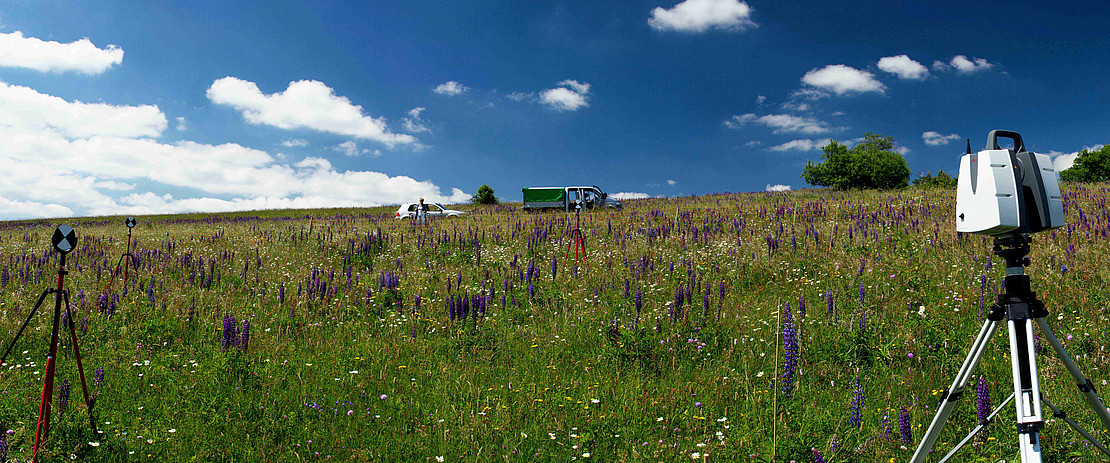 Terrestrial laserscanner in an extensive grassland site invaded by lupine