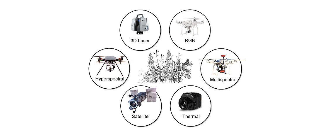 Sensors and platforms: 3D laser, RGB, multispectral, thermal, satellite and hyperspectral sensors and platforms