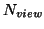 $N_{view}$