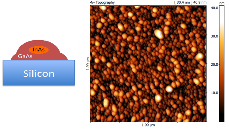 Abb. 4: 5x5 µm² großes AFM Bild von InAs/GaAs core-shell QP mit großer Dichte, die direkt auf einem 5°-off (001) Si Substrat gewachsen wurden.