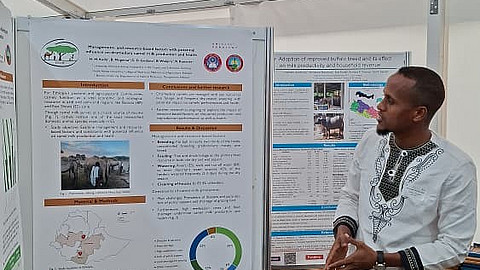 (öffnet Vergrößerung des Bildes)