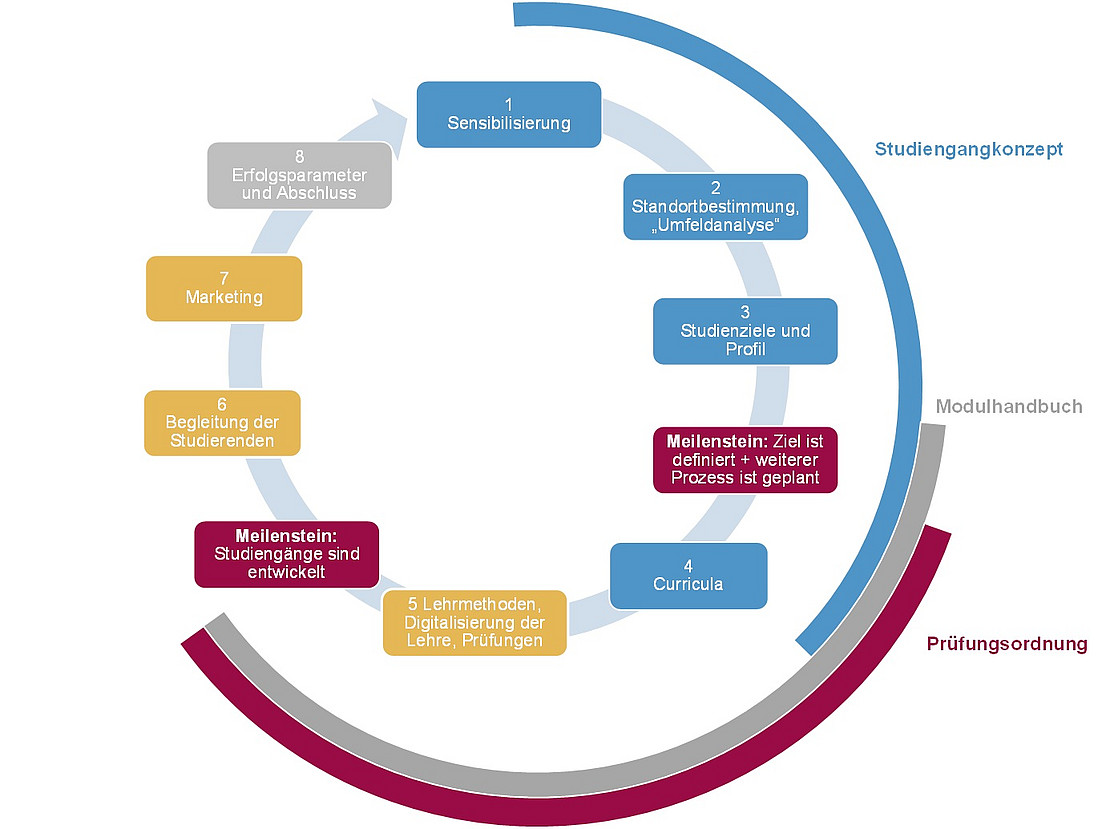 Die Grafik zeigt den Prozess zur Begleitung der Studiengangentwicklung in acht Schritten im Rahmen der Konzertierten Aktion Lehre.