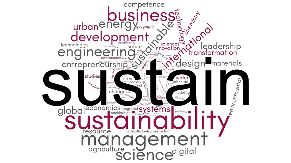 Wortwolke die im Rahmen einer Umfeldanalyse erstellt wurde. Enthalten sind weiter Begriffe, die in der Benennung von Studiengängen, die auch "sustain" beinhalten. Bspw. management, sustainabilty, business, development, engineering oder science.