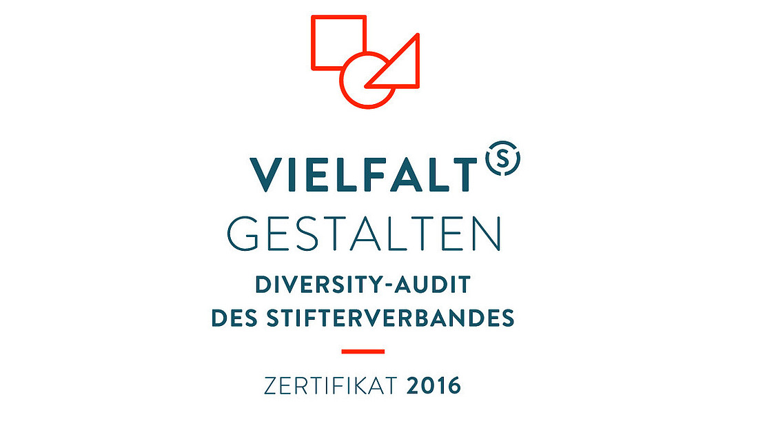 Logo Diversity Audit