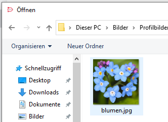 (öffnet Vergrößerung des Bildes)