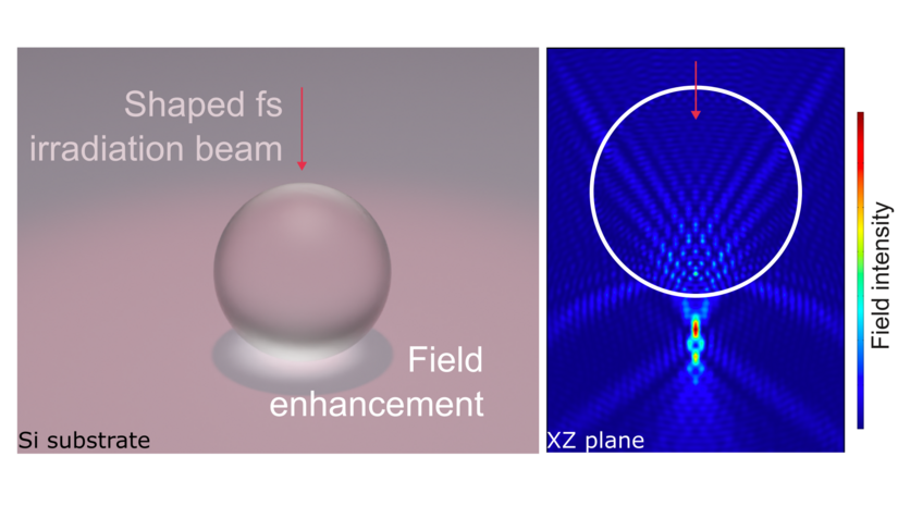 The image is a scientific diagram with two parts. On the left side of the image, there is a 3D transparent spherical object on a flat surface that is labeled Si substrate. It is viewed from the side. White light is shining from the top onto the sphere. A red arrow and text indicate that the light onto the spehere is a shaped femtosecond irradiation beam.  Below the sphere is a brightly illuminated region and a text labels it as field enhancement.  On the right side of the image is a color coded intensity graph. The color shows simulated values of the field intensity enhanced by a nanospehere. Most of the graph is blue, denoting low field intensity. A text at the bottom says it shows the X-Z plane. A red arrow indicates that the laser beam is coming from the top. A white circle in the upper half of the graph indicates the position of the nanosphere in the simulation. Below the sphere, a region of high field intensity is shown by red colors. There are additional stray lines of brighter blue that show other scattered and diffracted light with low intensity.