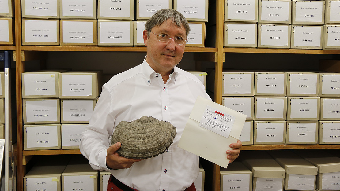 Porträt mit Pilz in der Hand