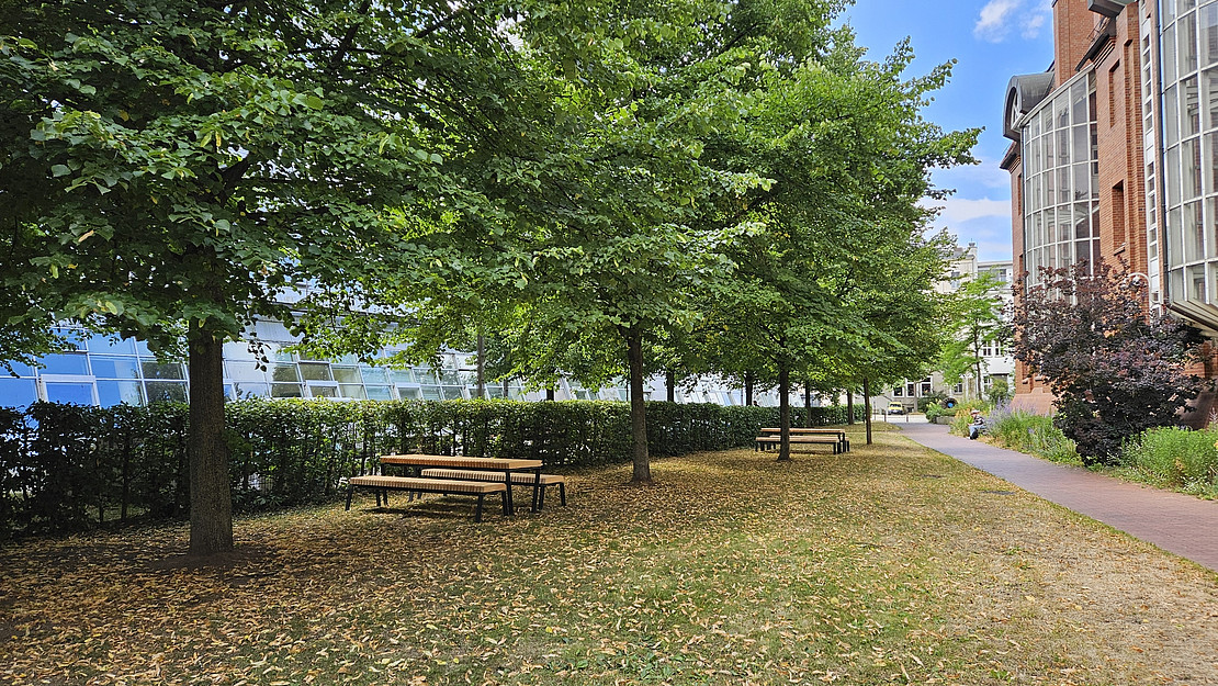 (öffnet Vergrößerung des Bildes)