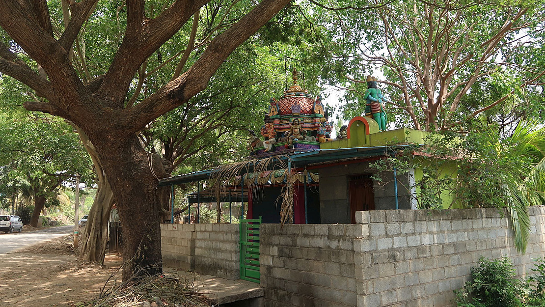 In Bengaluru, India, urban forests, parks and lakes form a "green and blue infrastructure". This promotes people's well-being by supplying food, wood and medicine, providing cooling, purifying air and water and also conveying spiritual values.