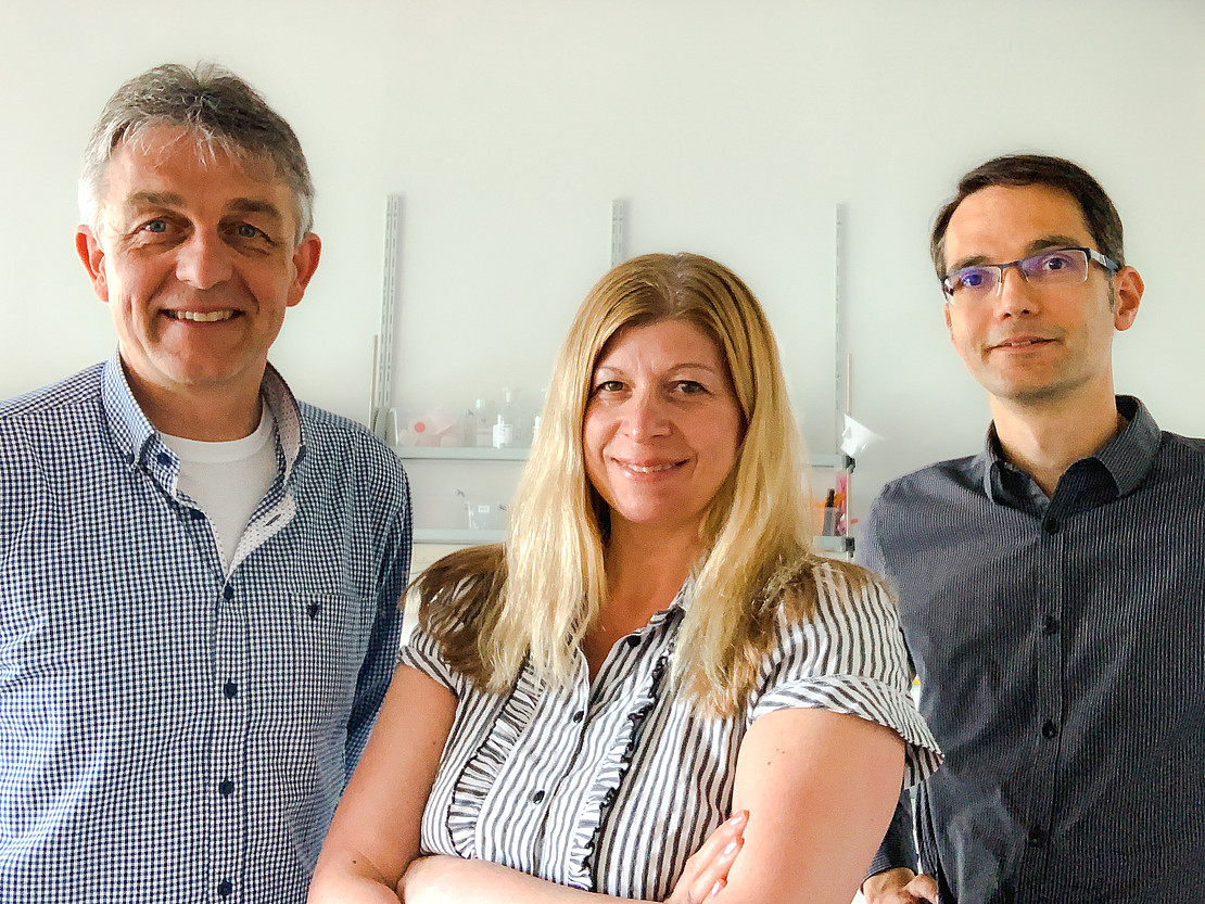 Die Projektleitung: Prof. Dr. Andreas Meister (v.l.), Prof. Dr. Rita Borromeo Ferri, Prof. Dr. David Di Fuccia. 