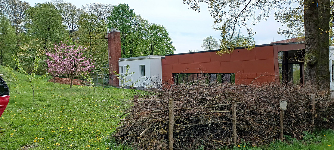  (öffnet Vergrößerung des Bildes)Benjeshecke, Witzenhausen Nordbahnhofstraße