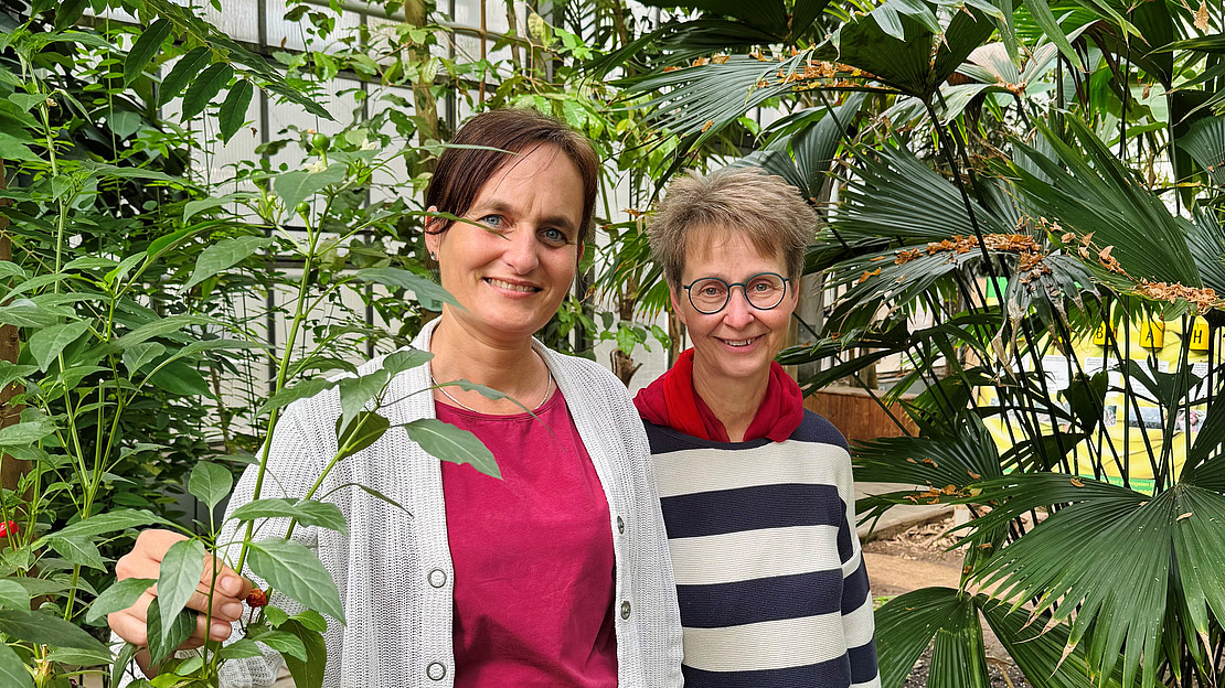 Betreuen die tropische Vielfalt im Tropengewächshaus: Catherina Merx (links) und Eva Maria Kohlmann.