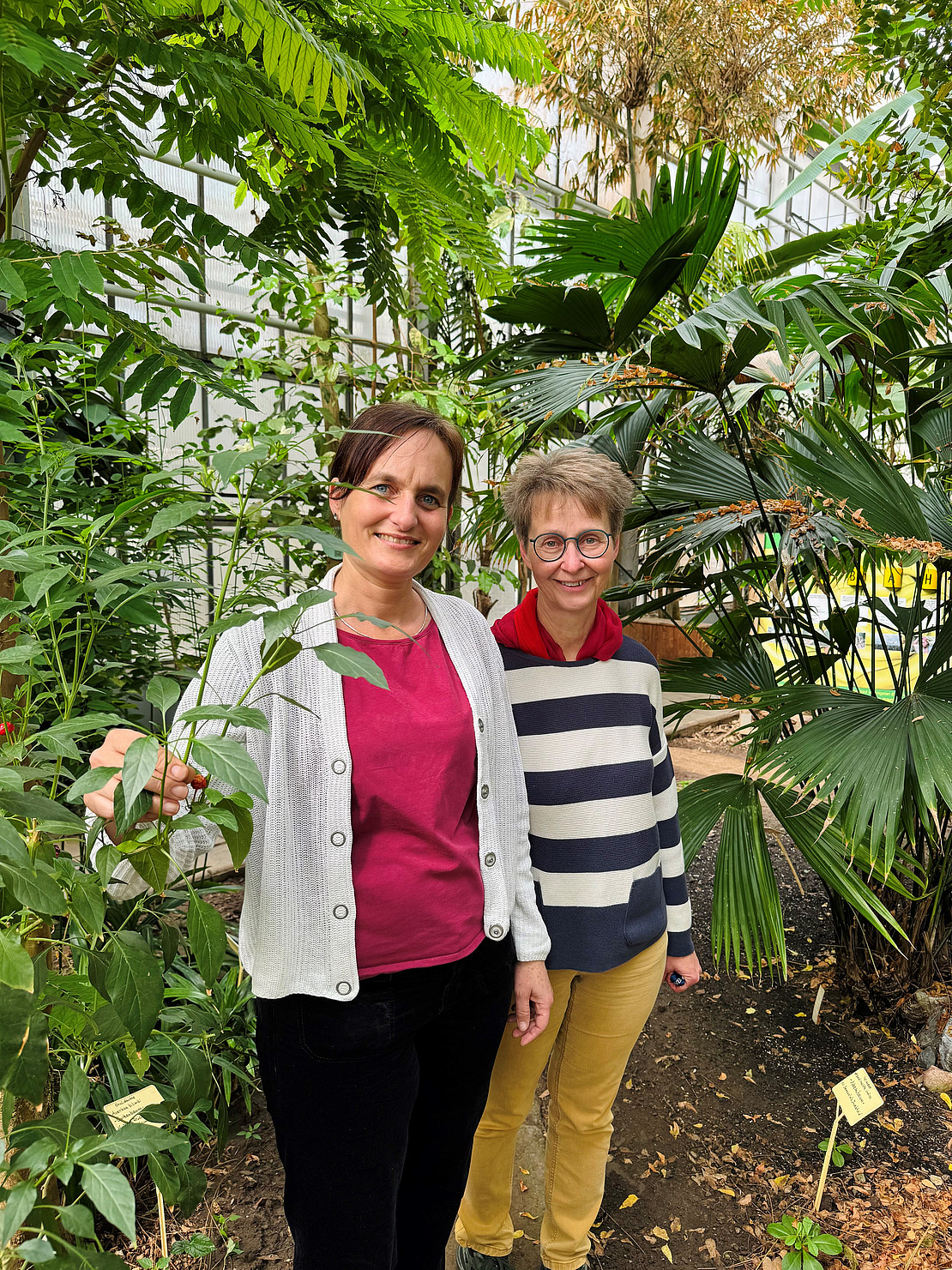Betreuen die tropische Vielfalt: Die Kustodinnen Catherina Merx (links) und Eva-Maria Kohlmann im Gewächshaus Witzenhausen.