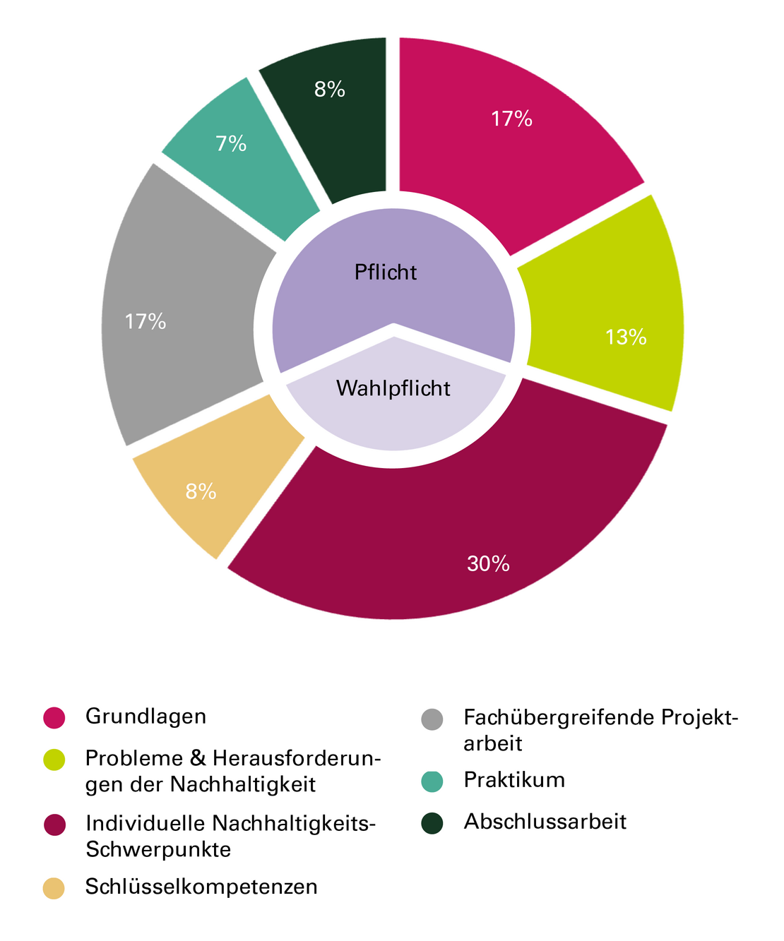 Kreisdiagramm Studienbereiche in Prozent