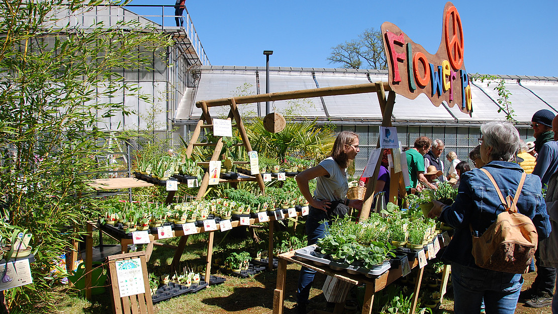 Sales stand with young plants under a blue sky; tropical greenhouse in the background
