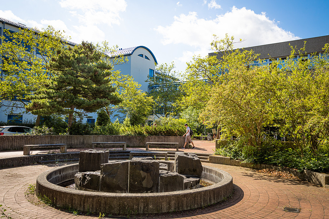 (öffnet Vergrößerung des Bildes)